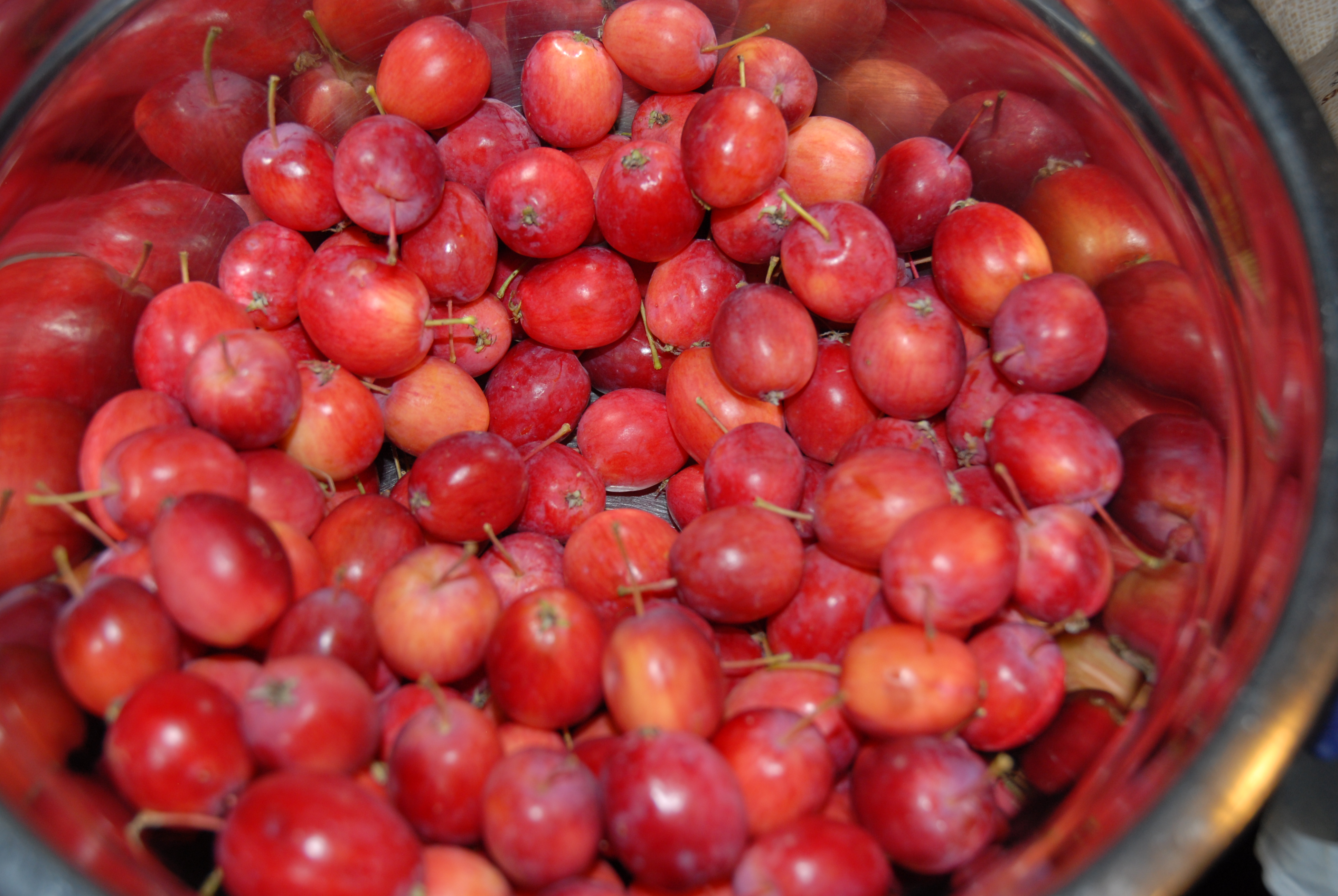 Oh and also wild crabapples.