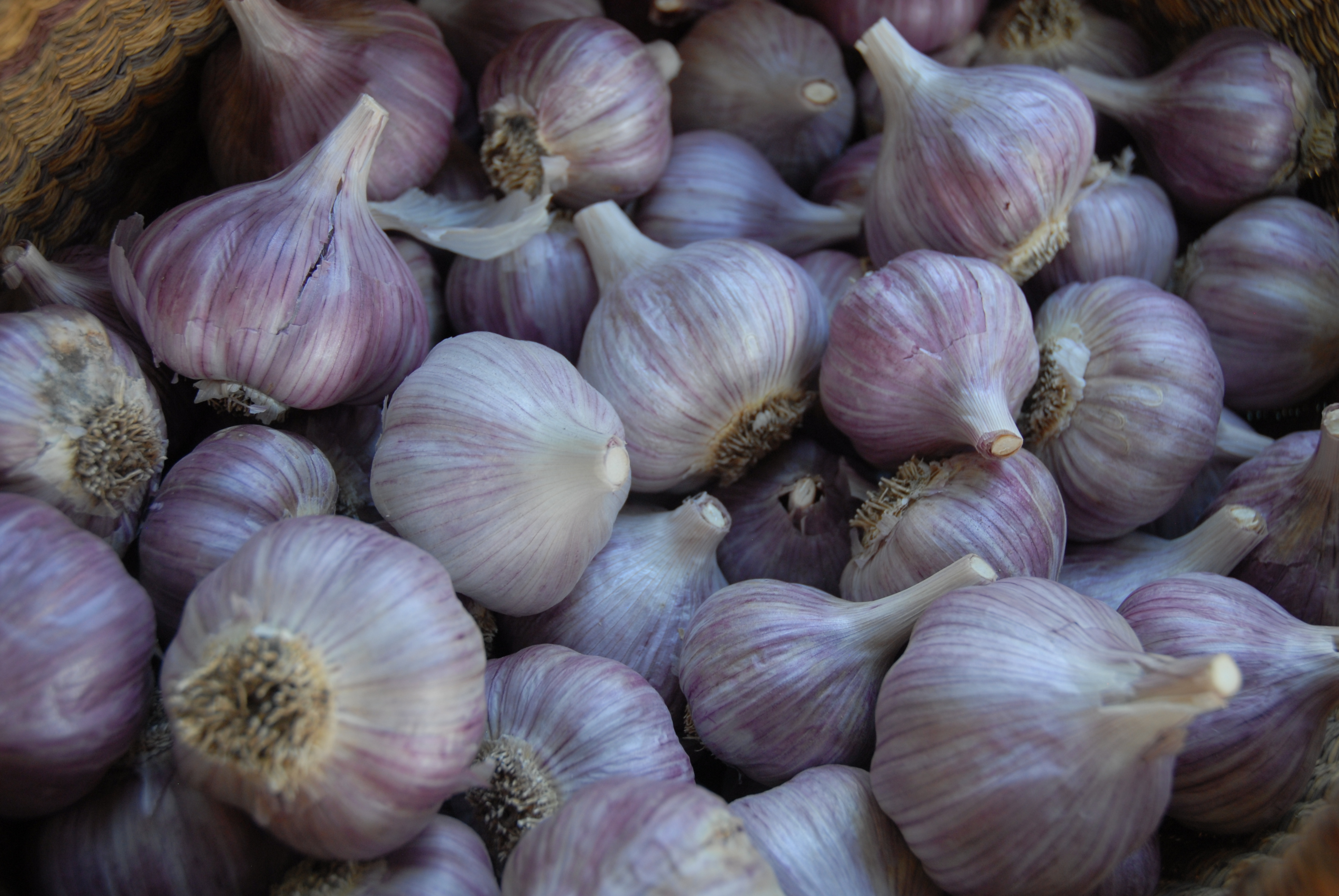 And there's also a lot of gorgeous, fresh garlic.