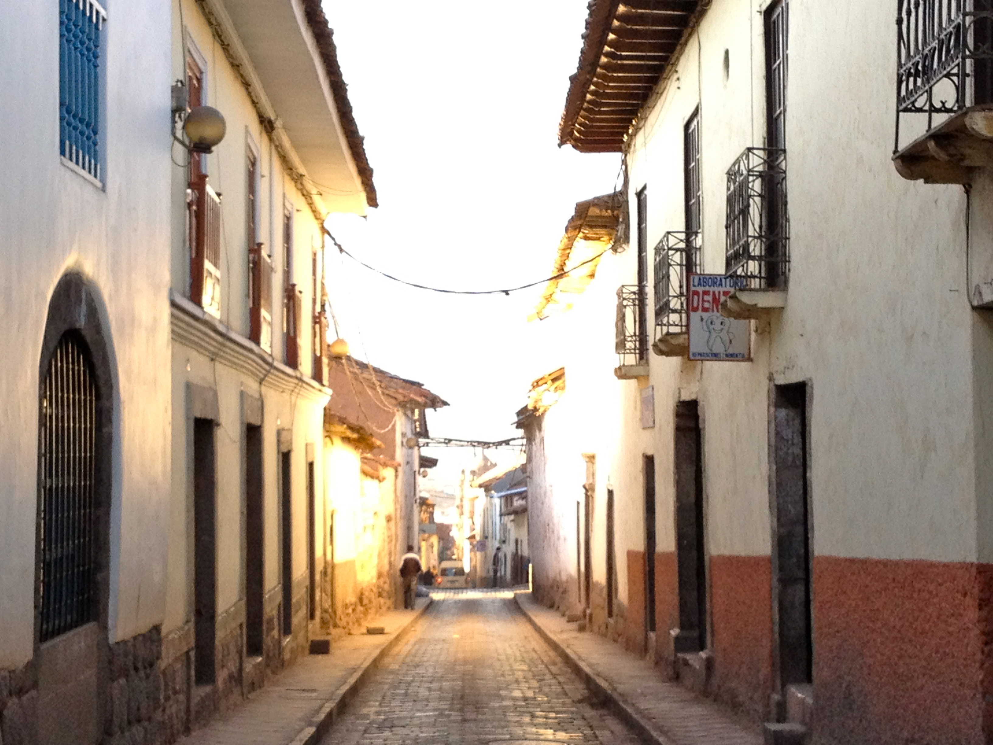 Rowing Through Life, to Unpathed Waters, Undreamed Shores, P14