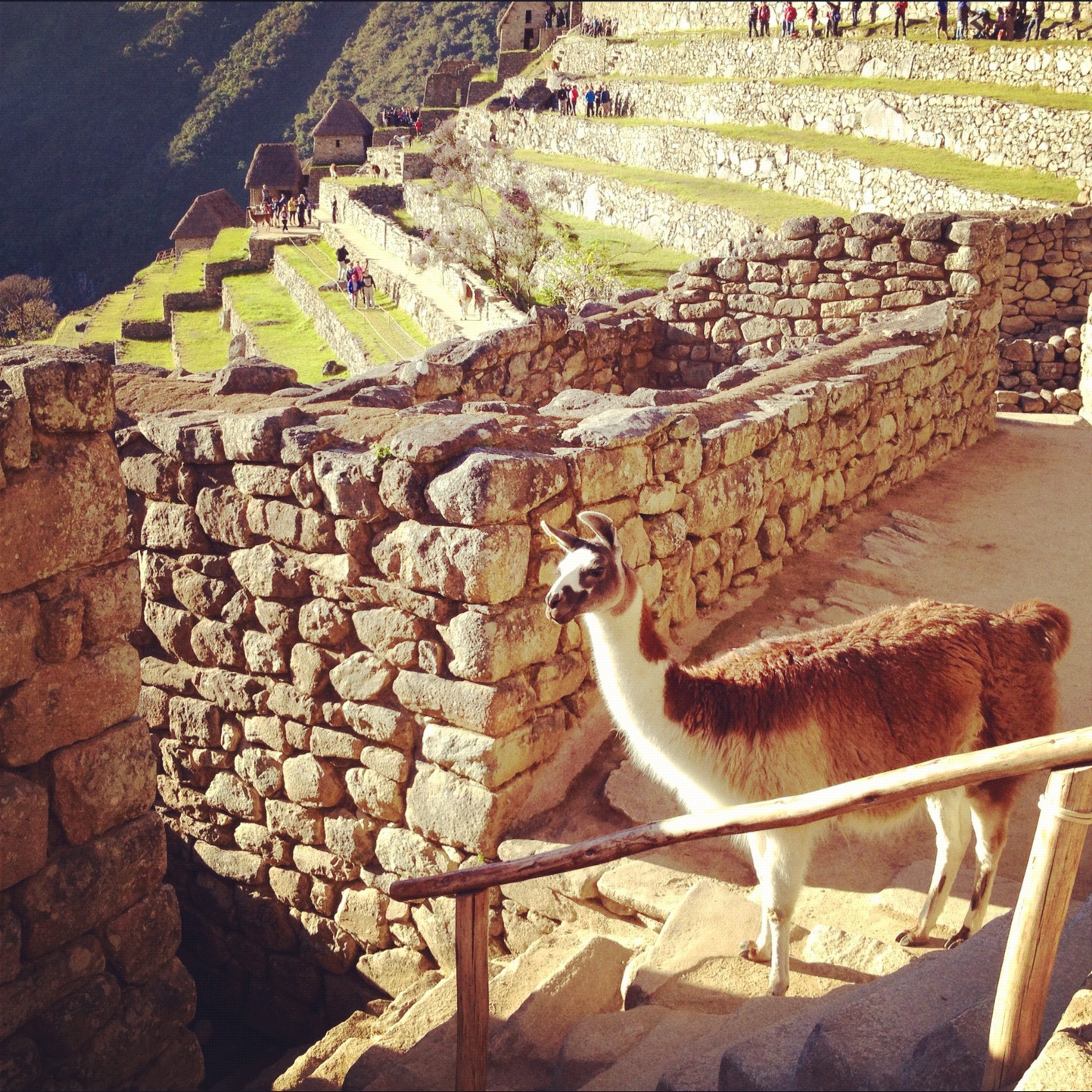 June 21, 2012: Machu Picchu, Peru