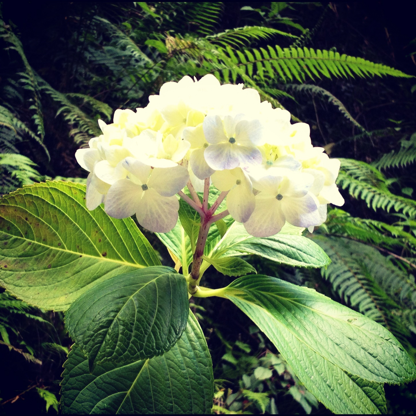 Rowing Through Life, When the Student is Ready, P6