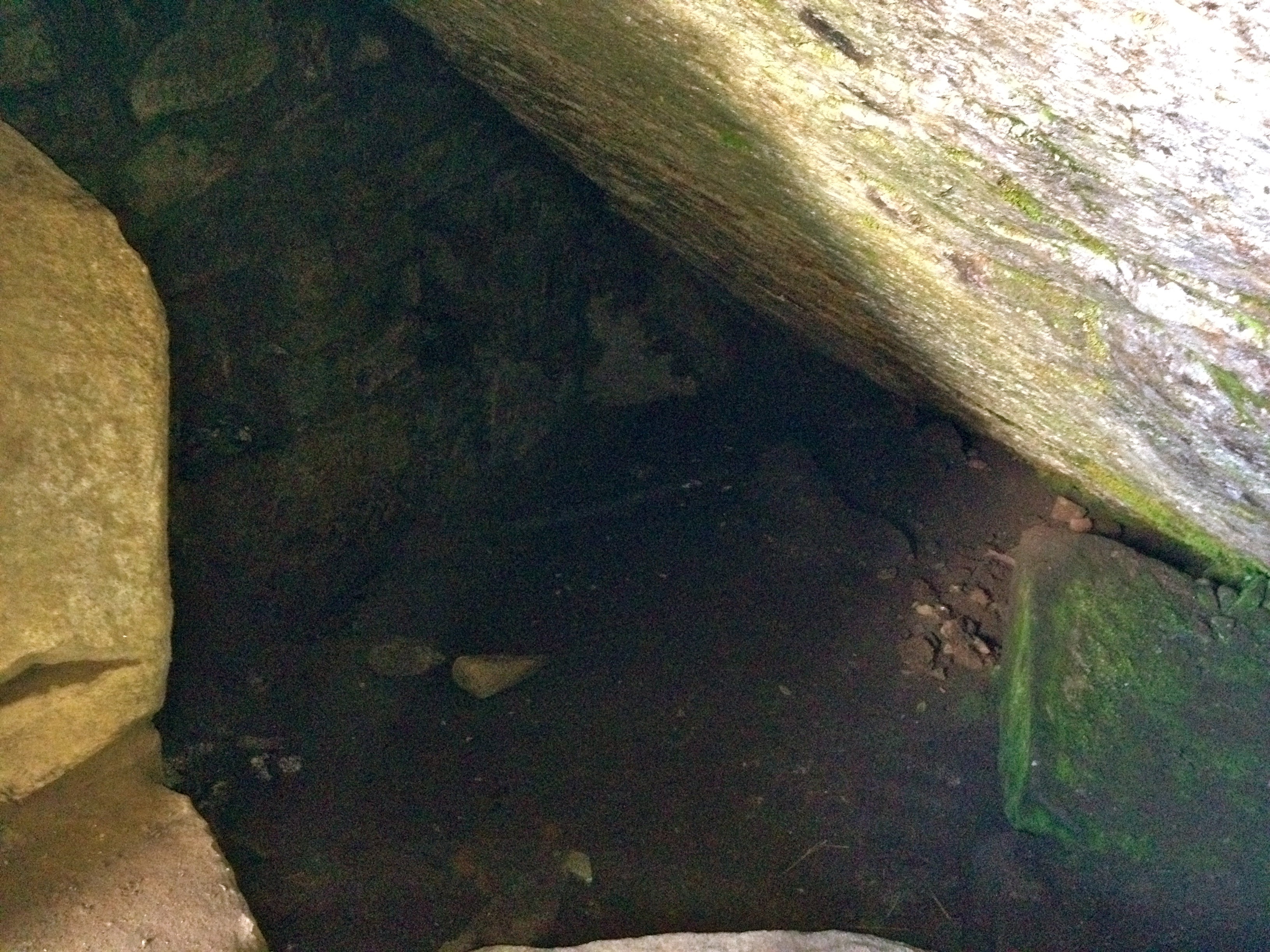 Rowing Through Life, What Lies Behind Us, Cave Tomb