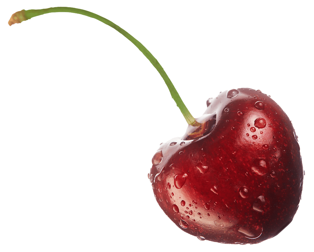 A fresh cherry, glistening with water droplets