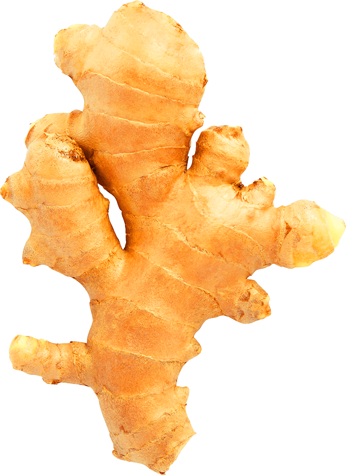 A roughly textured knob of fresh ginger