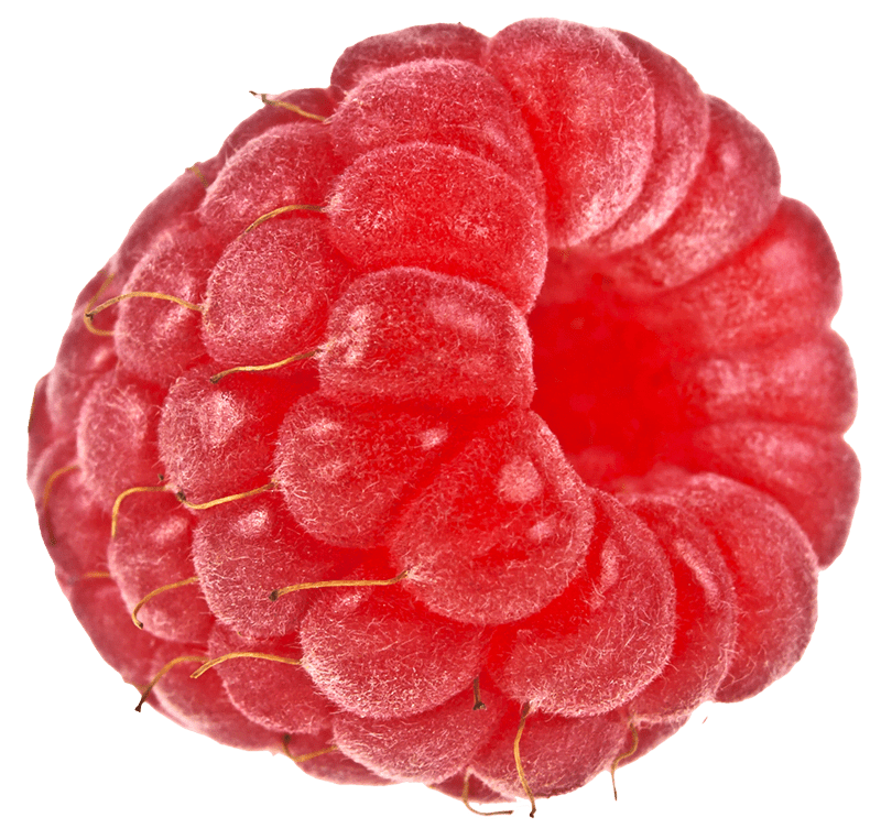 A Fresh red raspberry