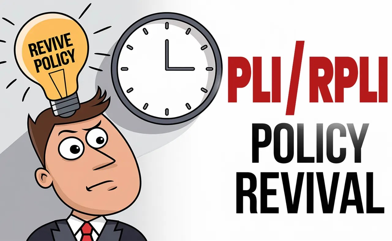 pli rapli revival steps