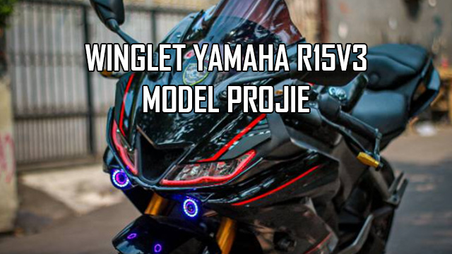 Winglet R15V3 Model R1