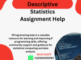 Hire Someone To Take Descriptive Statistics Assignment R Programming