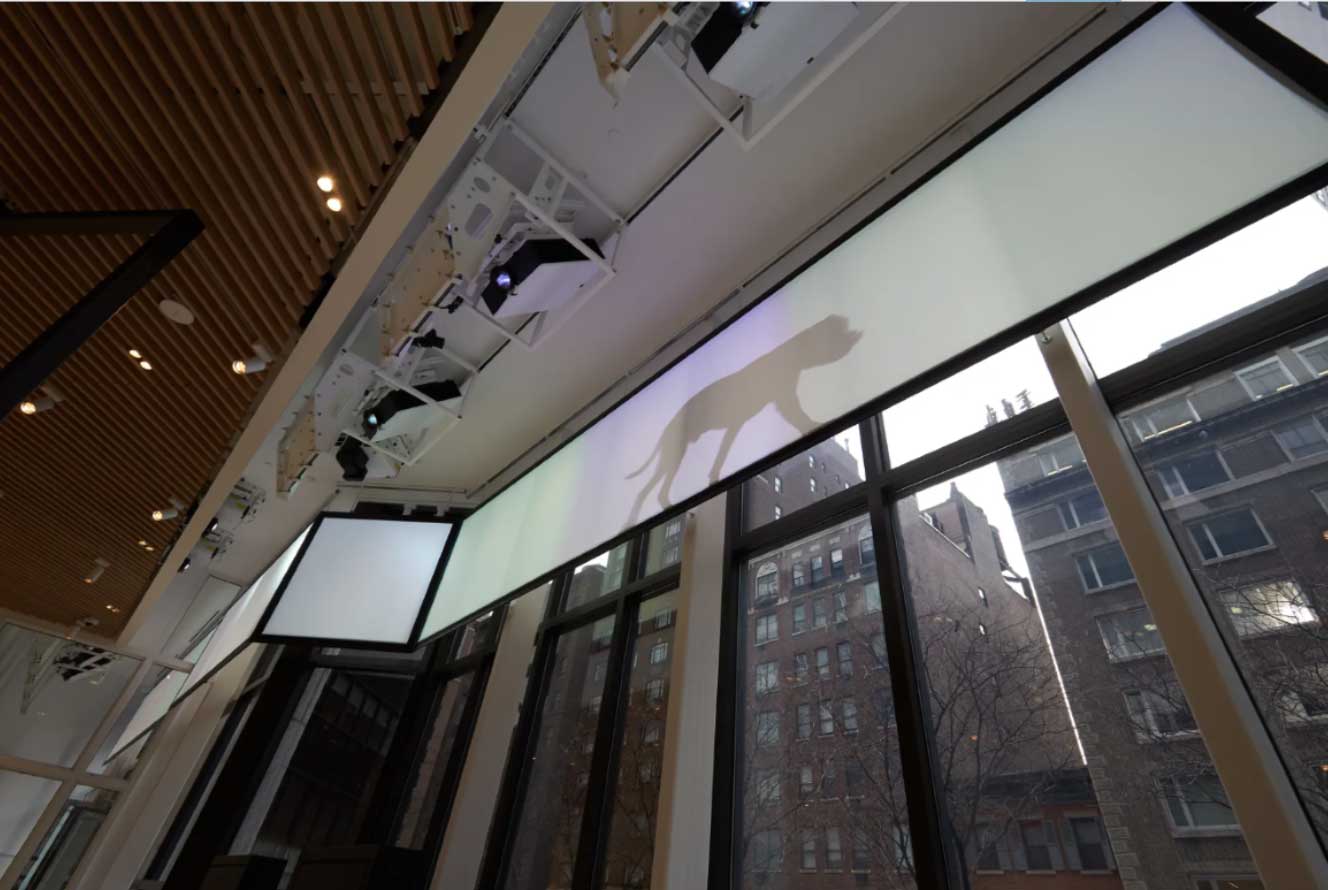 AKC Museum Visual Display