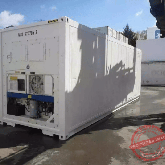30 Feet Freezer Container Customized Mobile Cold Storage Cell Container / Reefer