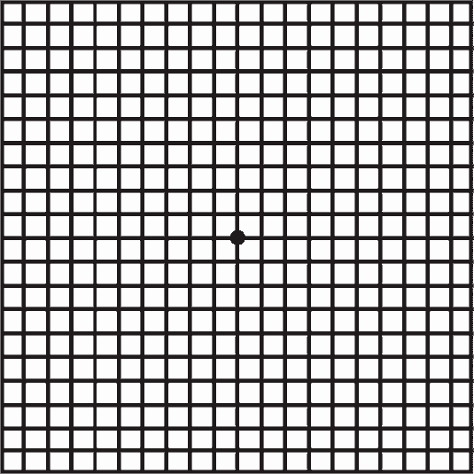 amsler grid test retina specialists of north alabama llc