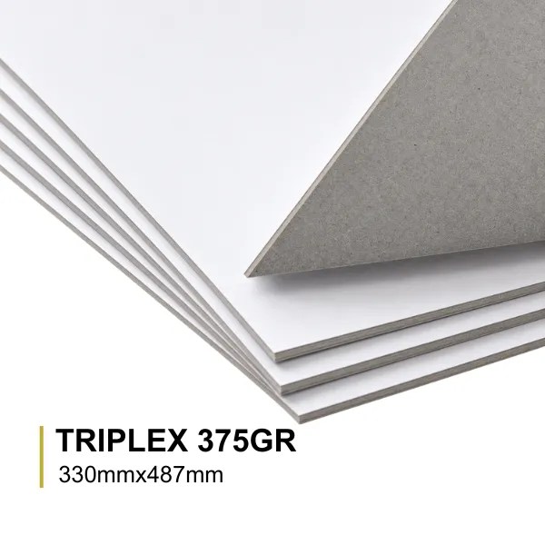 CARTOLINA TRIPLEX 375GR 33X487 VERSO CINZA- 100 Fls