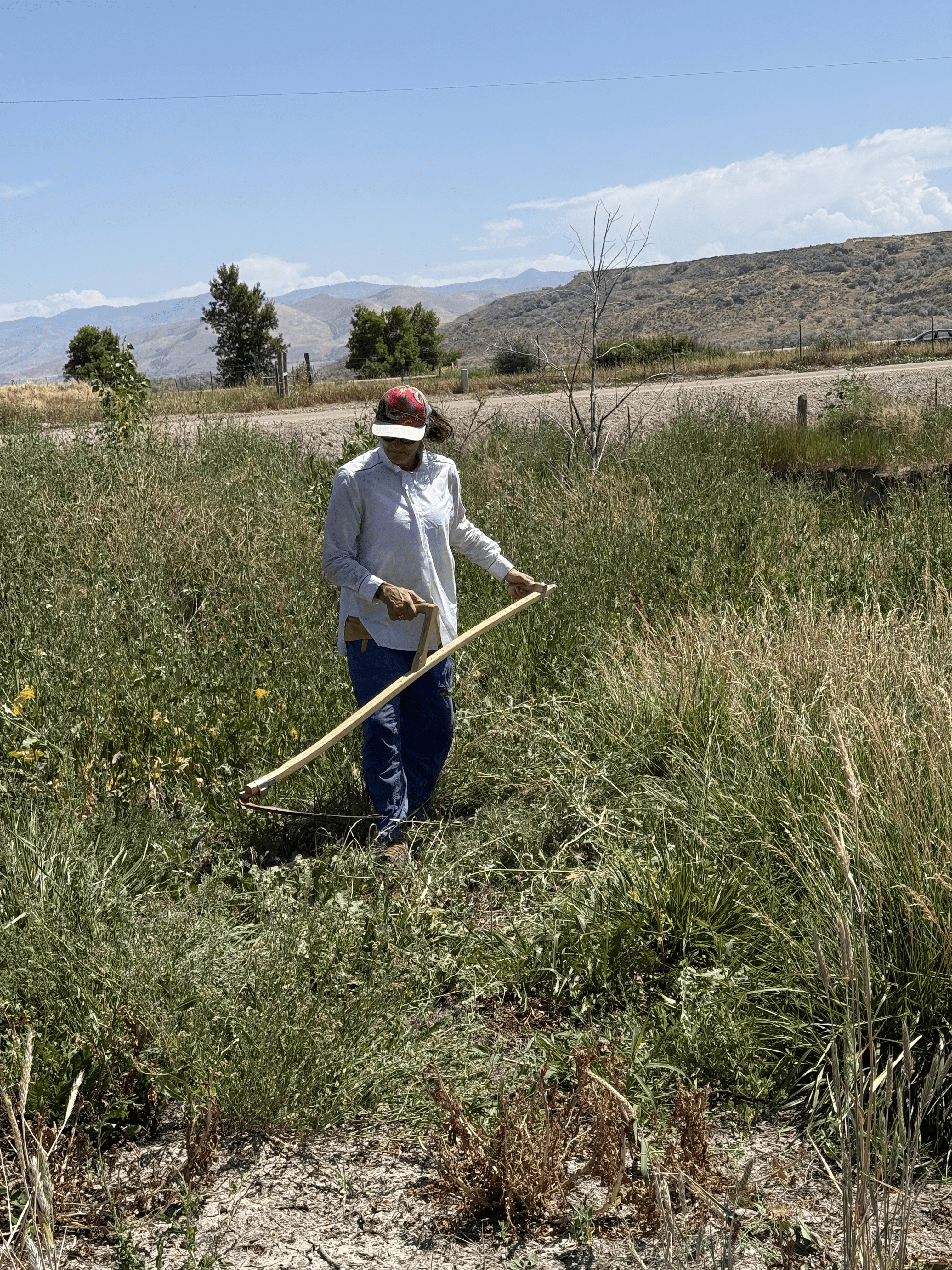 Shoshone Nation Takes Action To Restore Water To The Great Salt Lake And Their Own Ancestral Lands 1 ywAAAAAAQABAAACAUwAOw==