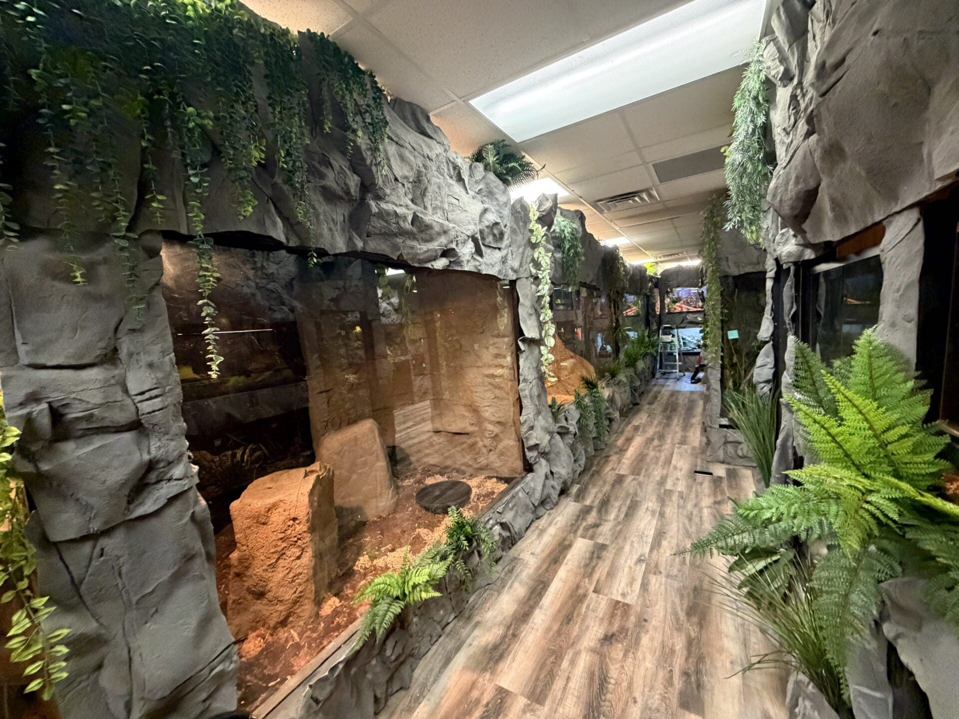 Reptile Adventure Zoo Opens This Week 1 ywAAAAAAQABAAACAUwAOw==