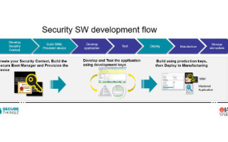sw development