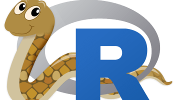 R vs. Python: What's the best language for Data Science? | RStudio Blog