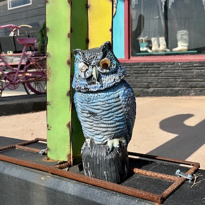 フクロウのご利益は、アメリカもあるかな？ - Route 66 on My Mind