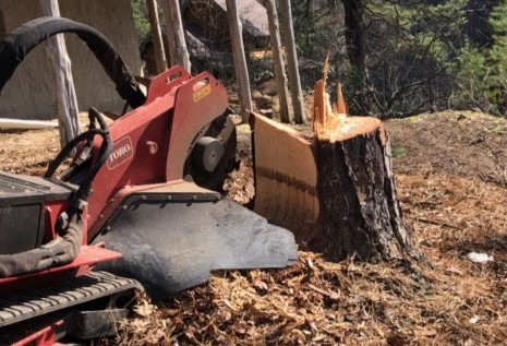 Stump grinding and removal services by Ruman Tree Services in Great Falls, VA.