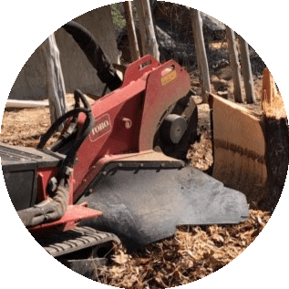 Reliable stump removal services by Ruman Tree Services in Northern Virginia.