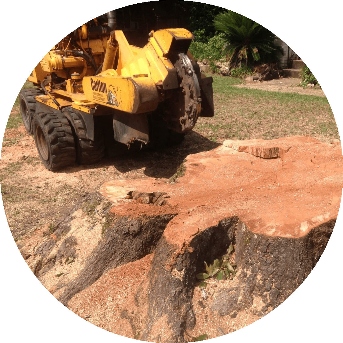 Advanced stump removal equipment used by Ruman Tree Services for minimal disruption.