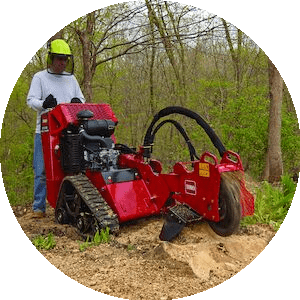 Highly trained experts using advanced techniques and safety protocols at Ruman Tree Services.