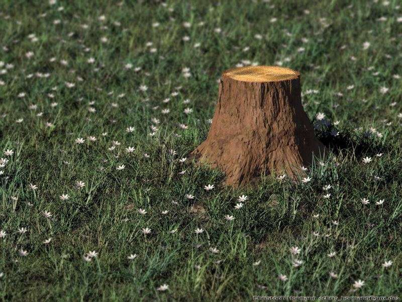 Облик Земли ещё недавно был совсем другим