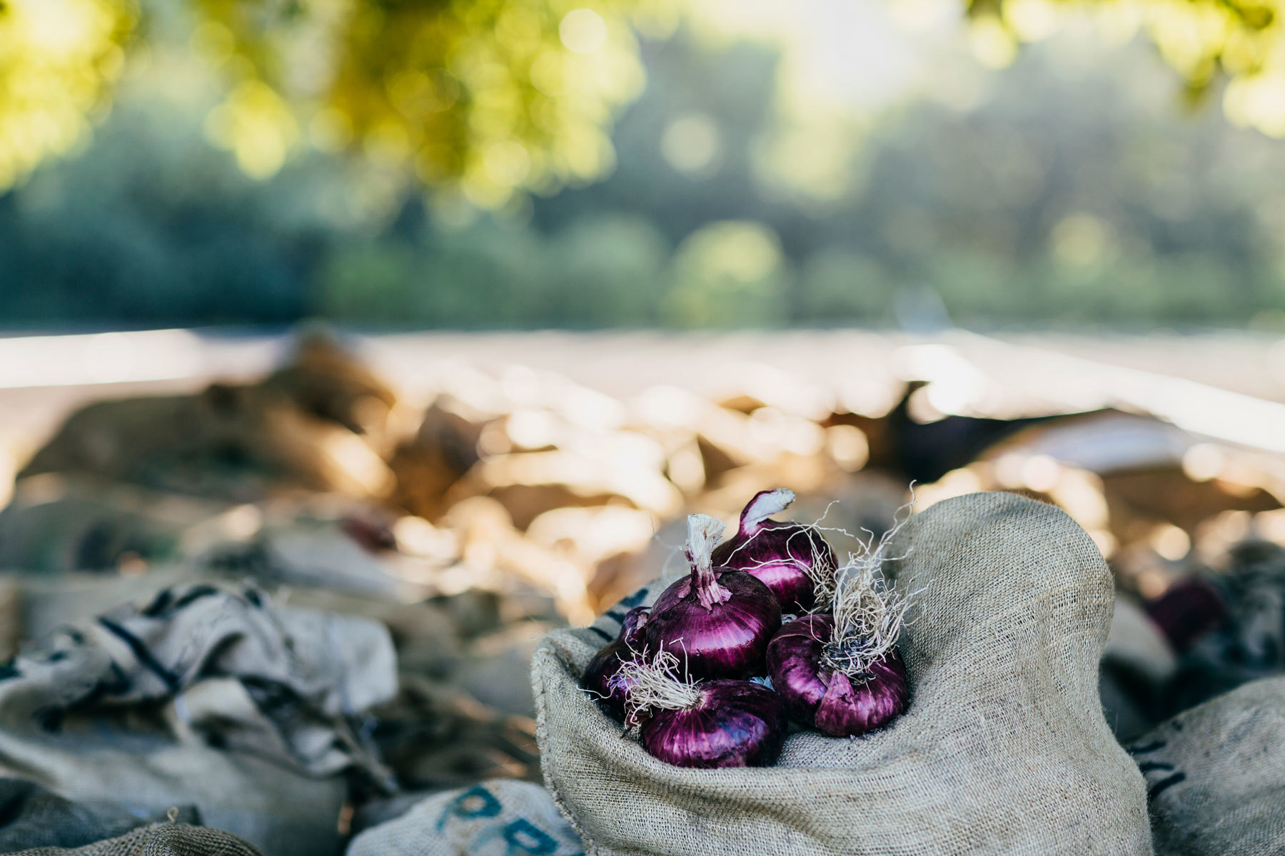 Ruby And Company - HD Minimal Images for Desktop