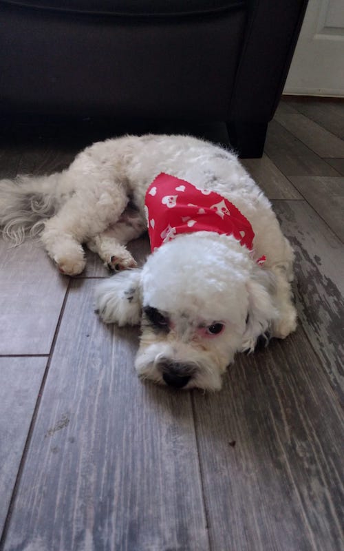 Ruby Joy Enterprises Sharing The Joy - Download Premium Geometric Texture | Retina