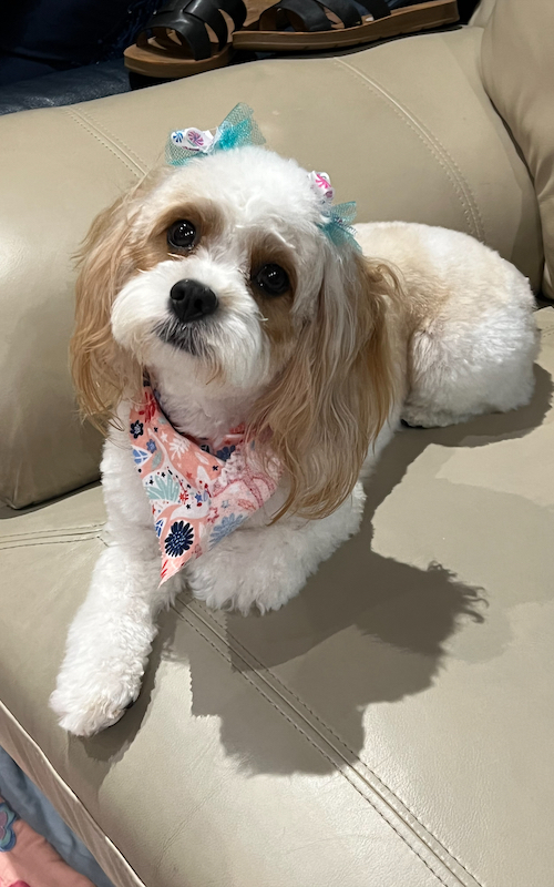 Ruby Joy Enterprises Sharing The Joy - Download Premium Mountain Illustration | Desktop