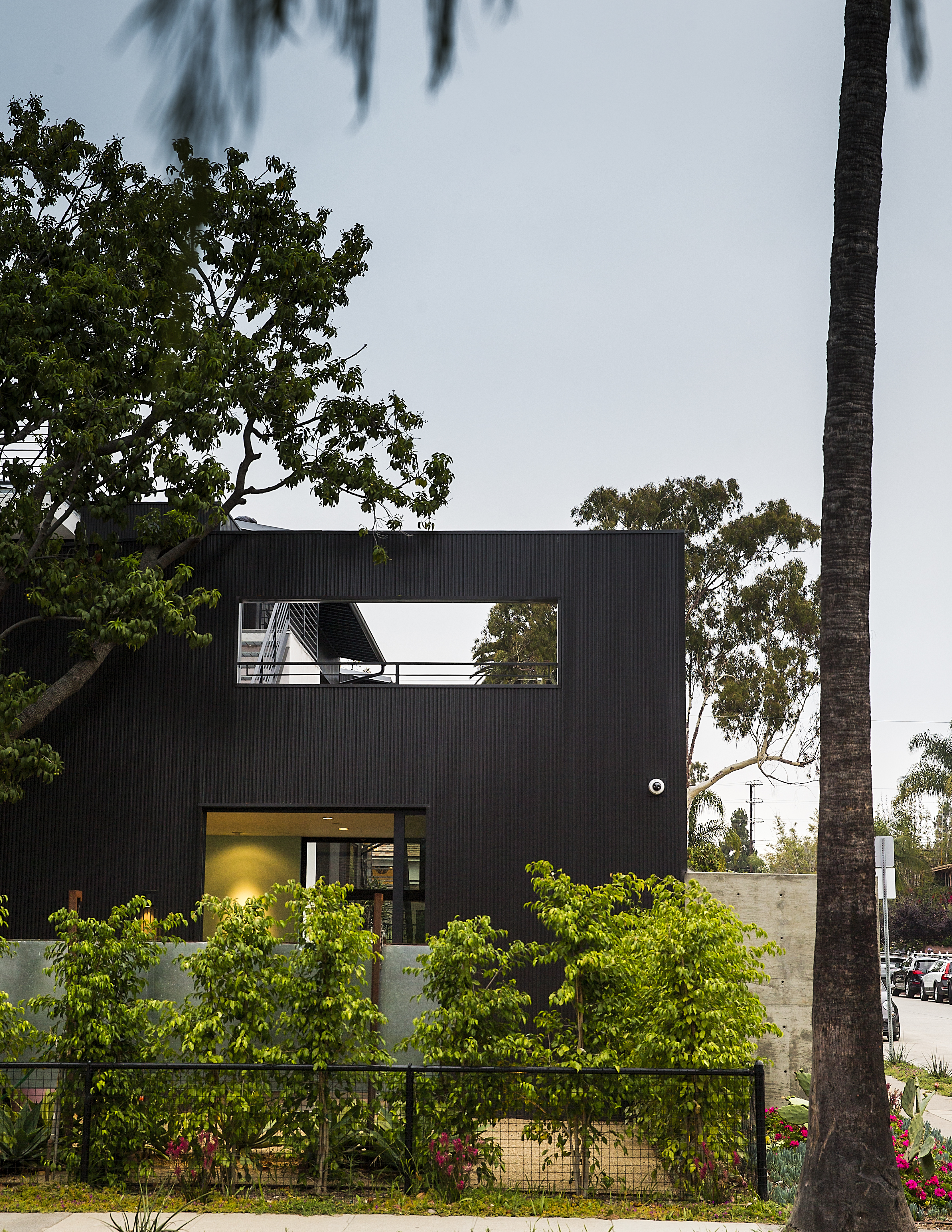 Photo credit: Thomas Story