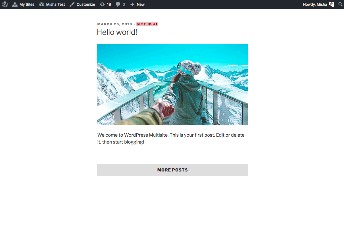 The very first section is used to make the html view for the frontend (i.e ui for the page). Load More Posts with AJAX for WordPress Multisite | LaptrinhX
