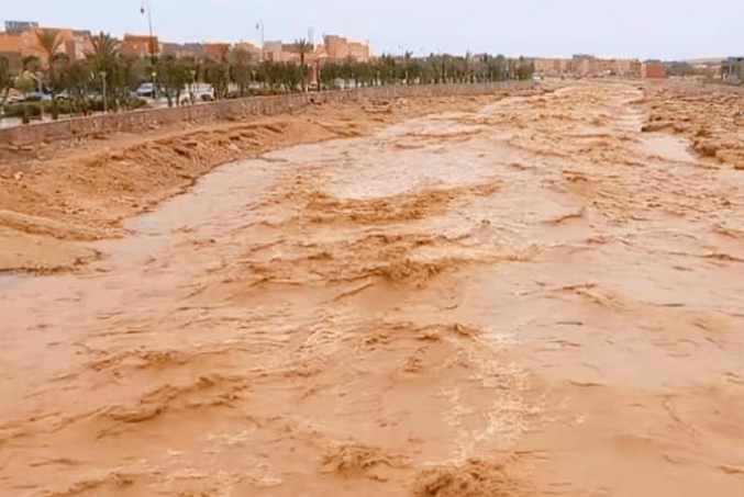 تساقطات استثنائية جنوب البلاد تبشر بموسم مطري غزير