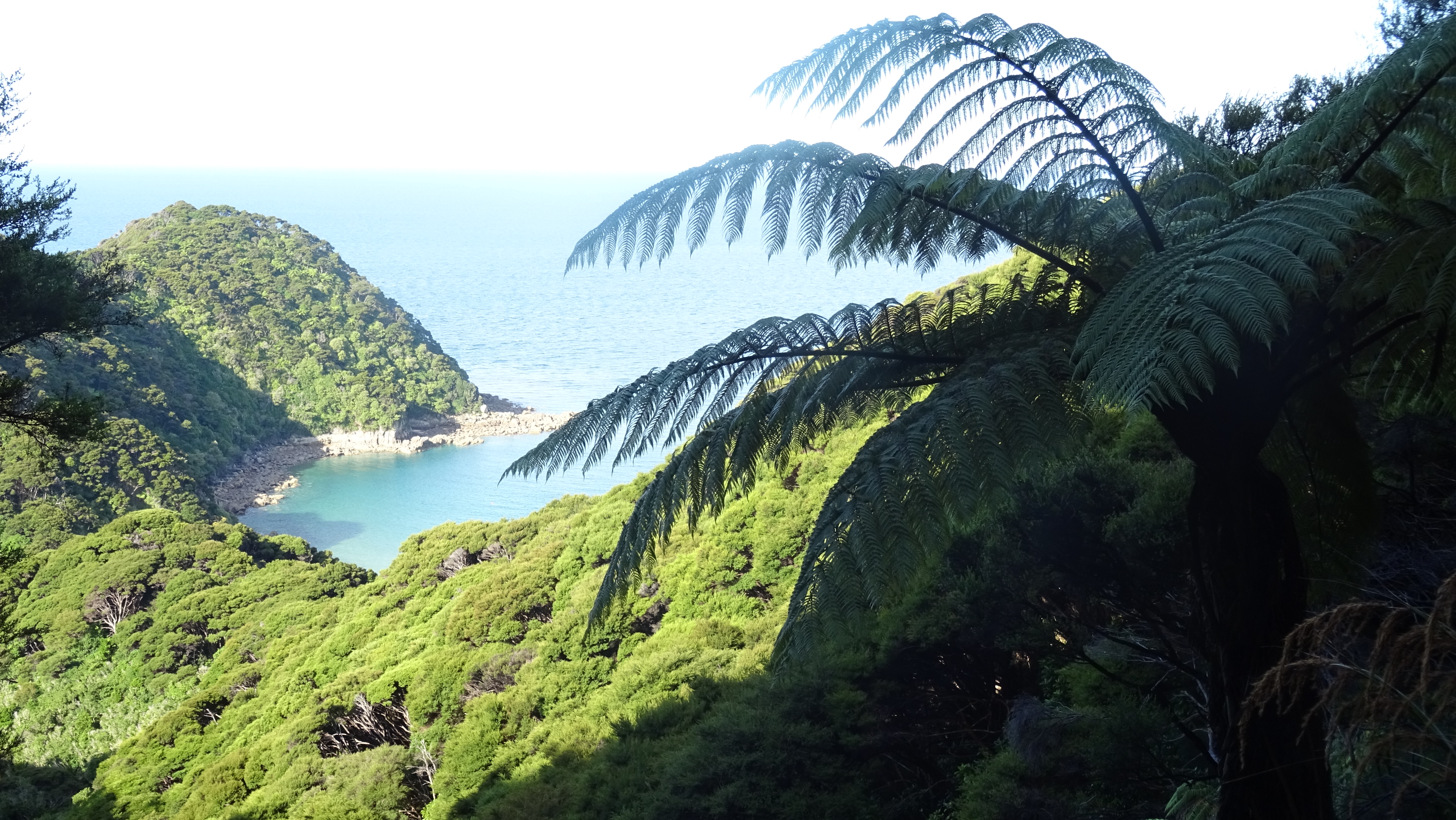 View of the Tasman sea