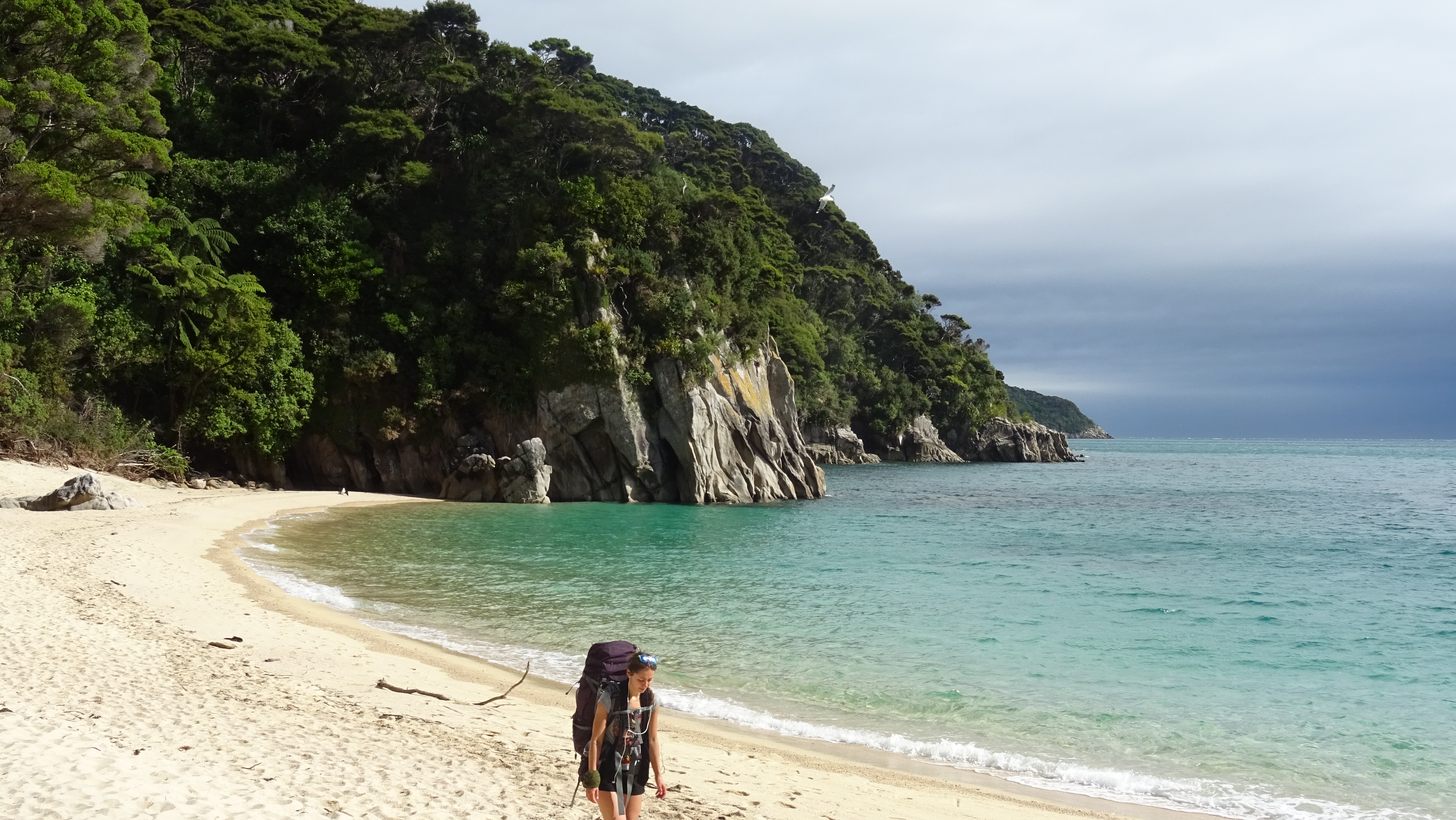 These shores are made for walking
