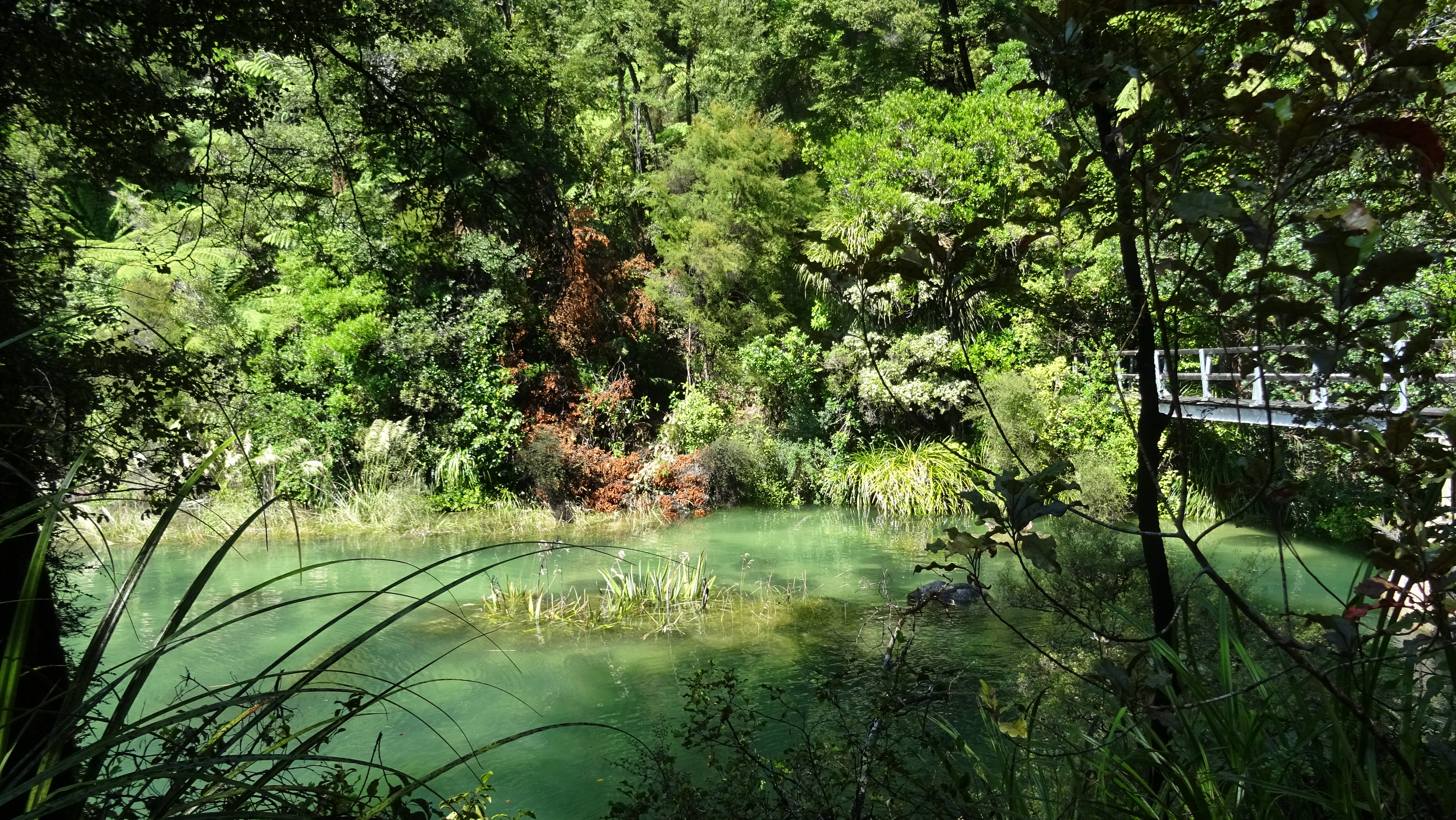 Lagoon