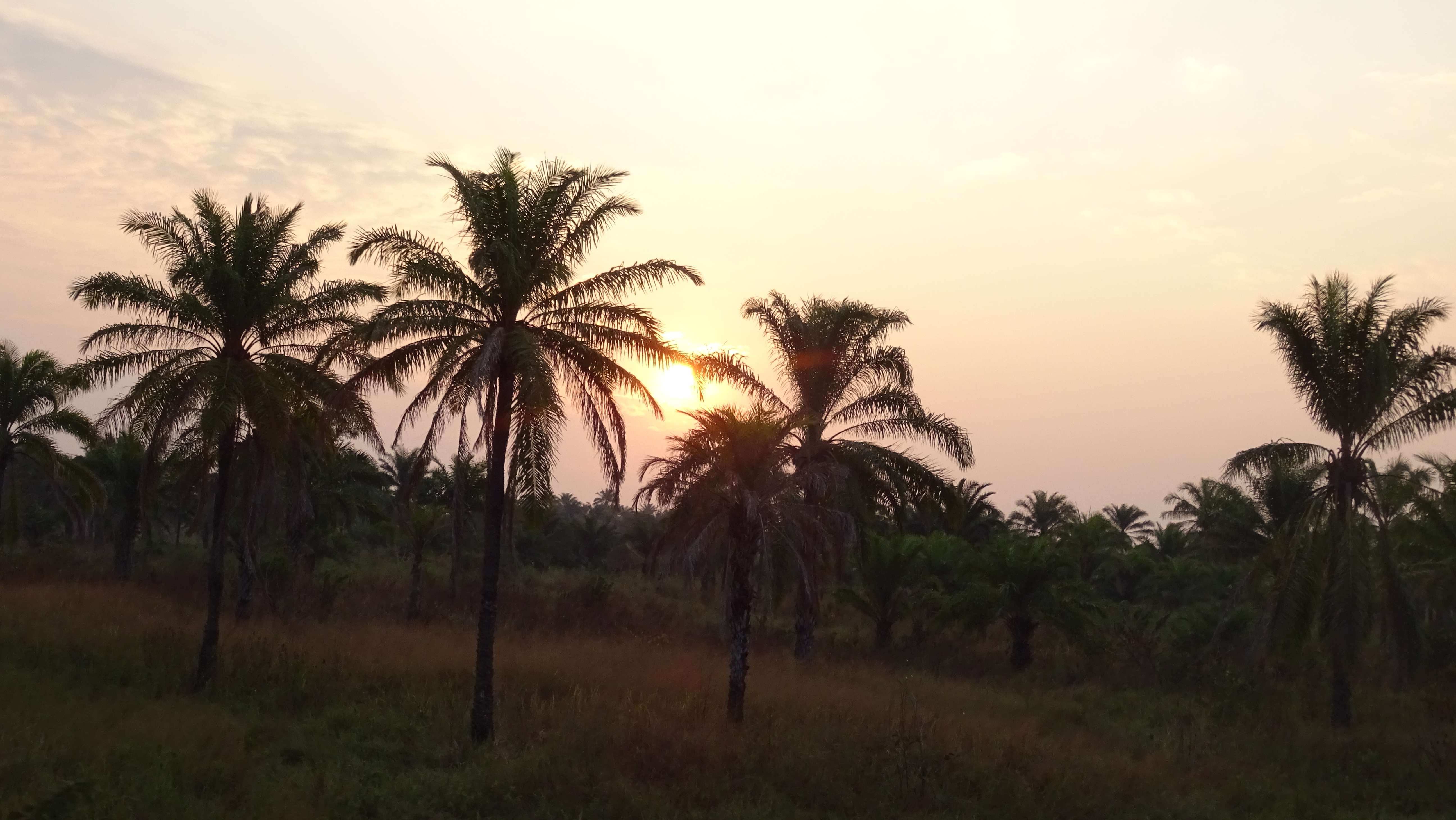 Beautiful landscape passing by