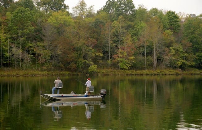 Top 6 Dog Beaches In Kentucky Ruffchamp Com