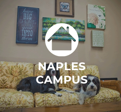 ruffles dog day care