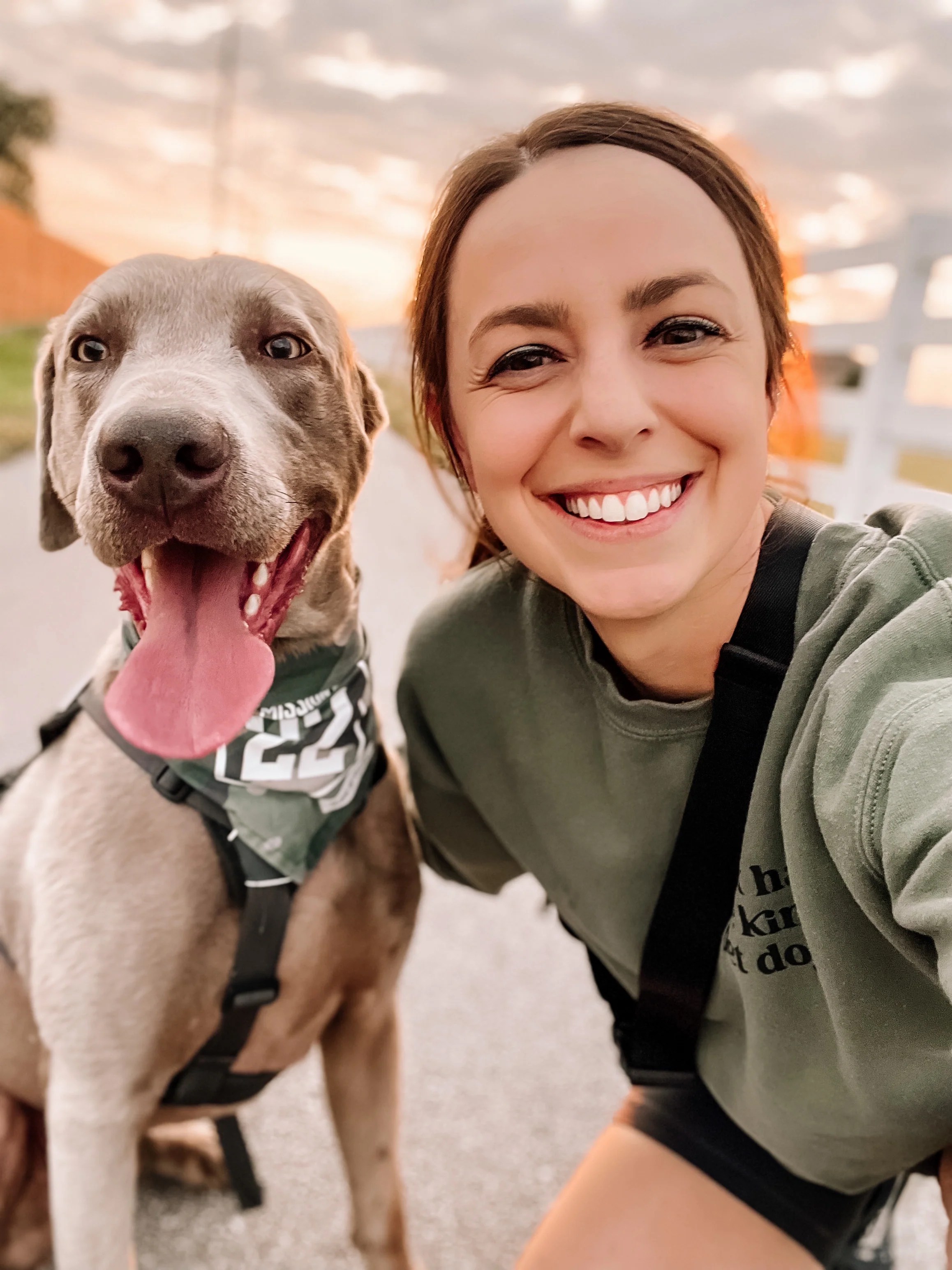 Ruff N Fluff Co - Colorful Pattern Collection - Mobile Quality