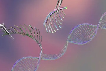 Menggunakan Algoritma Genetika dalam Data Science