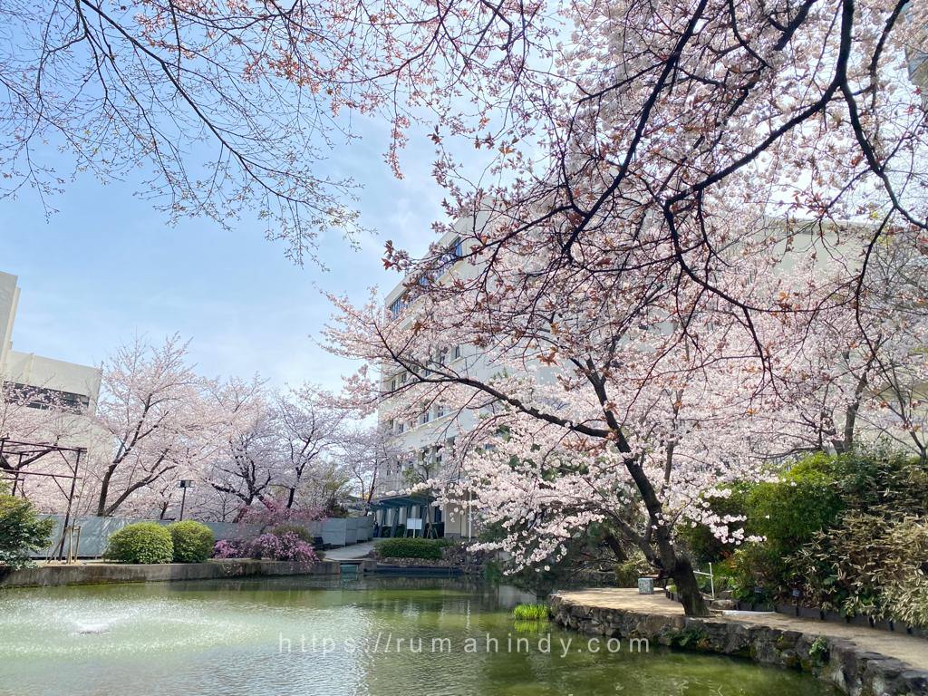 Hakanai: Filosofi keindahan “sesaat” di Jepang