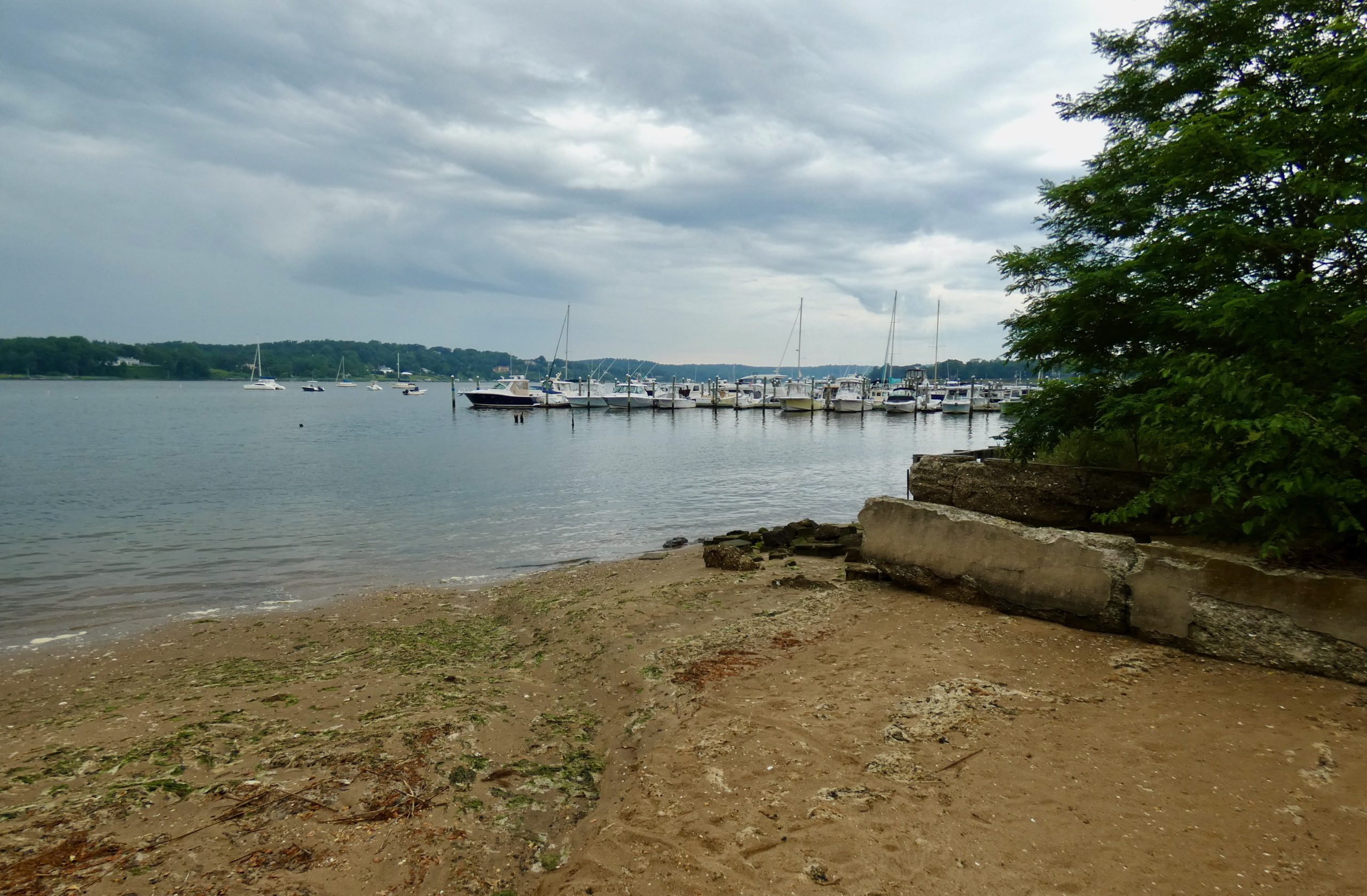 Focus Hazy Dock Daze & Tuesdays — RumsonFair Haven Retrospect