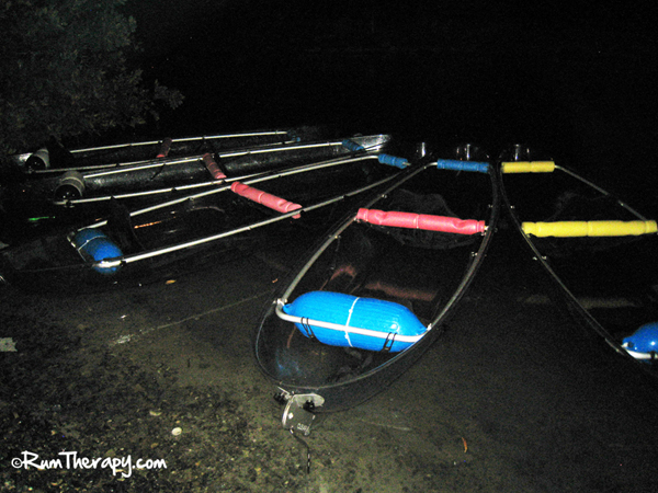 We help you make informed decisions by giving you access to institutional quality data and analysis presented visually. Glass Bottom Kayaking in a Bioluminescent Bay | Rum Therapy