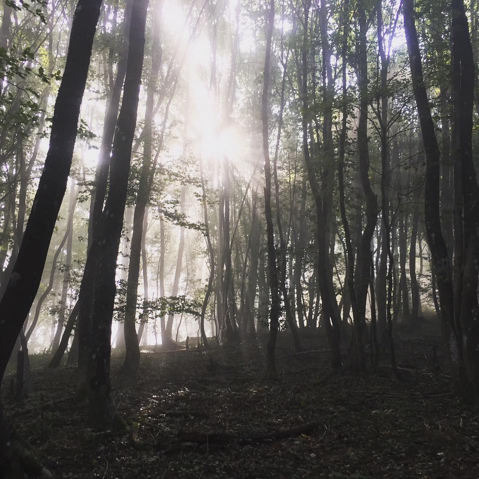 trail entrange foret