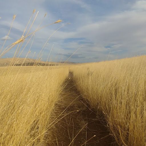 McBee Path