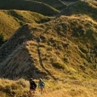 (Ultra) Marathon Monday: In Training for Lost Souls