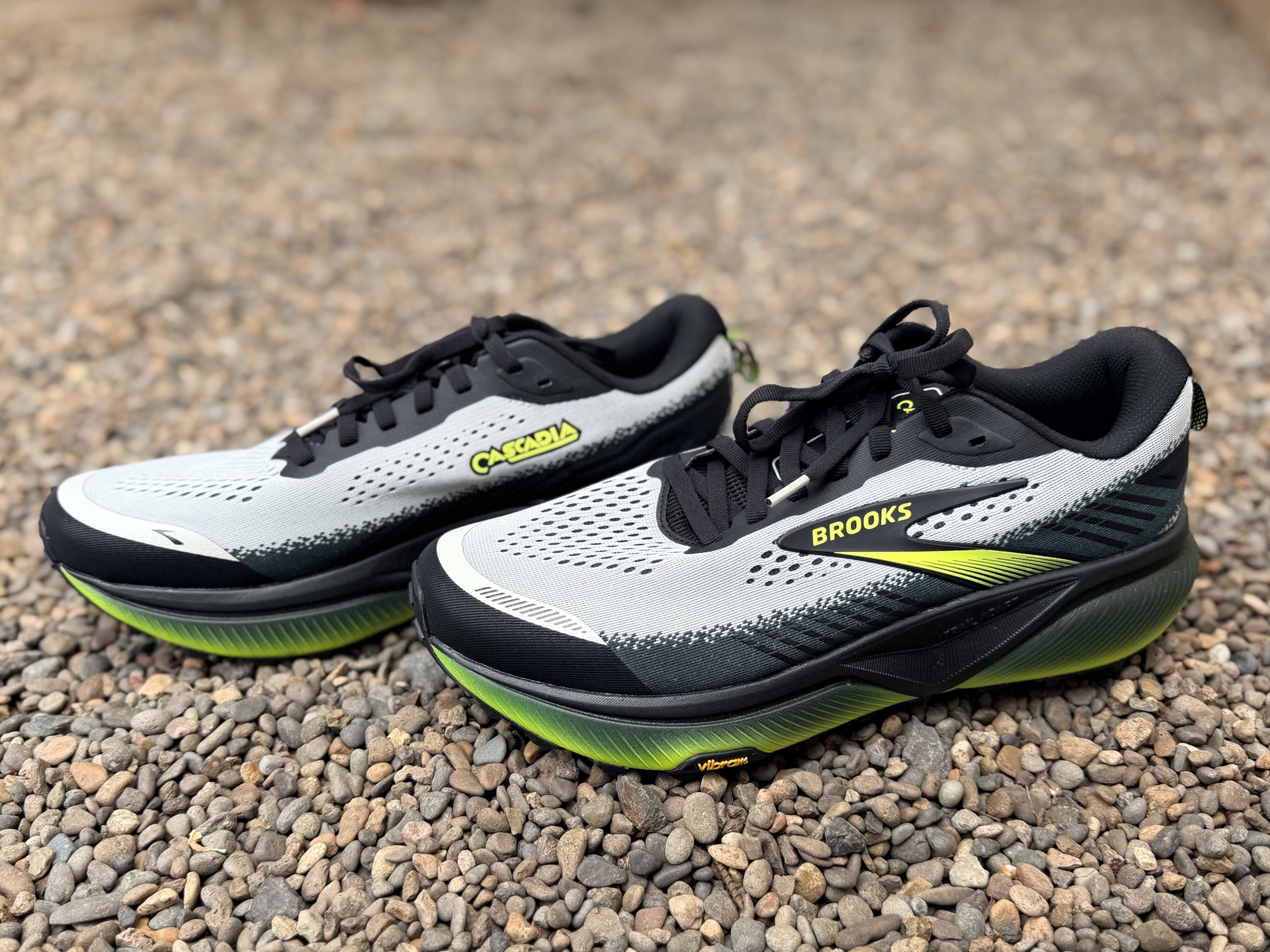 The Trail Workhorse Turns 20: Brooks Cascadia 20 - Run Oregon