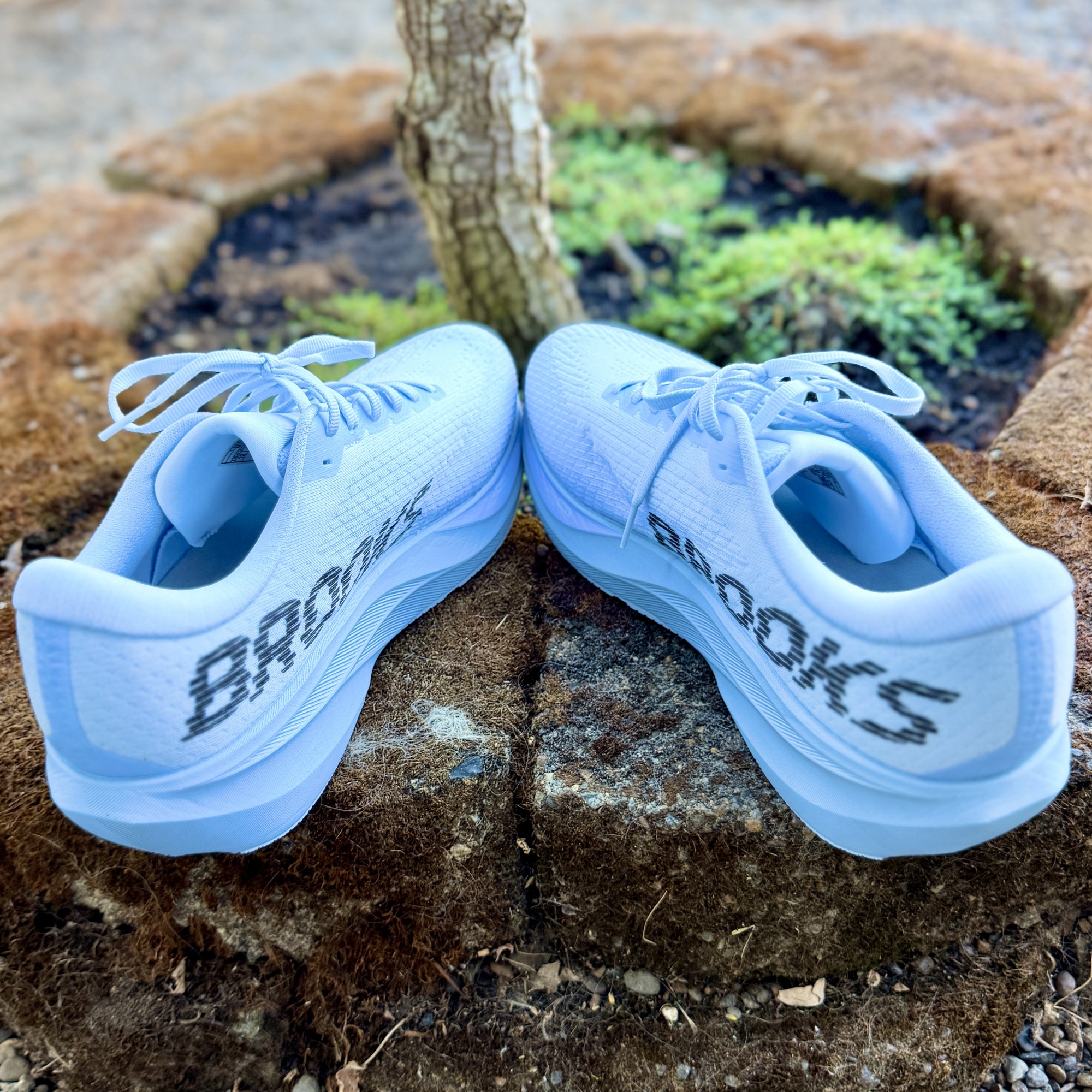 A New Ghoul: Brooks Ghost Amp - Run Oregon