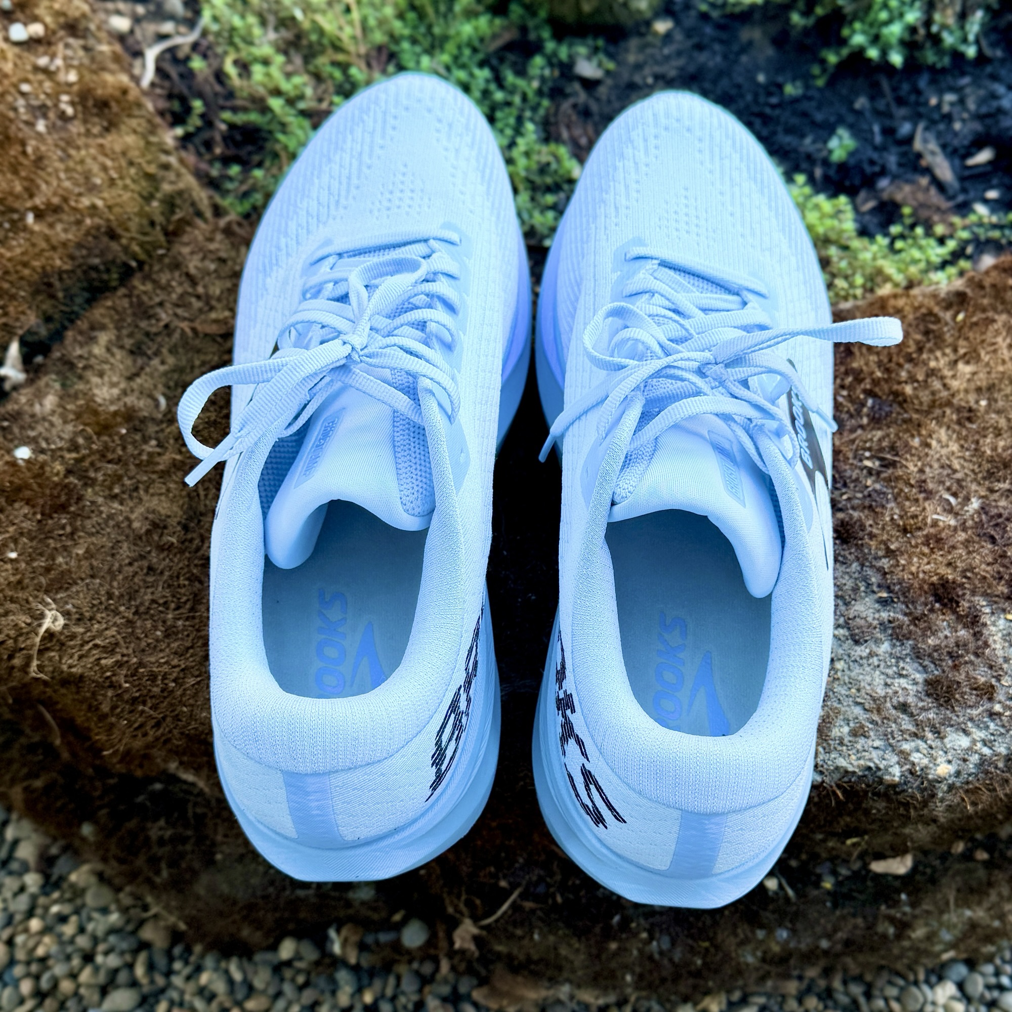 A New Ghoul: Brooks Ghost Amp - Run Oregon