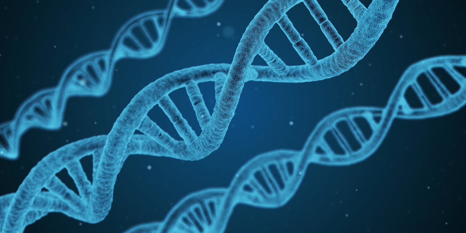 Fitness genomics can help trainers and nutritionists create more personalized plans for their clients.